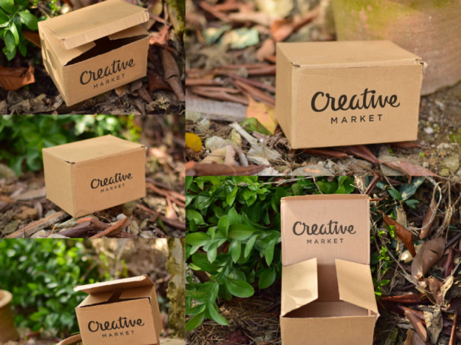 Download Set of Carboard Box Mockups | Mockup World