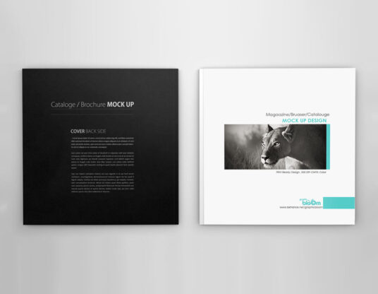 Square Catalogue Mockups Mockup World