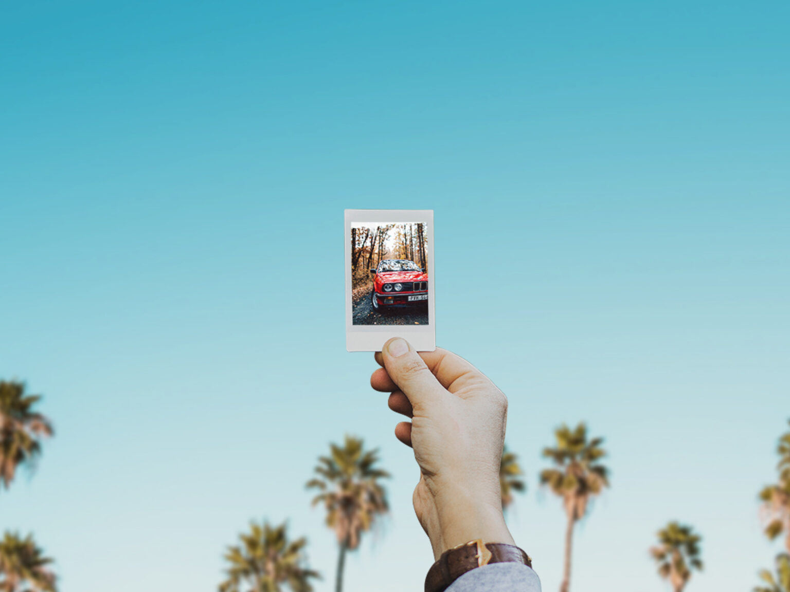 Polaroid Mockup Collection - Mockup World